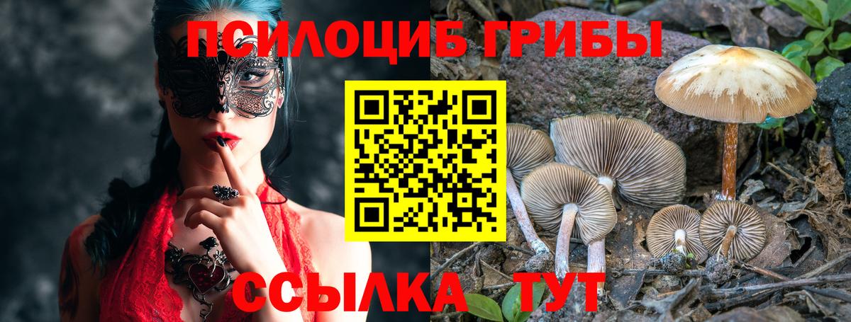 Волжский  Галлюциногенные грибы Psilocybine cubensis  Вход с VPN 